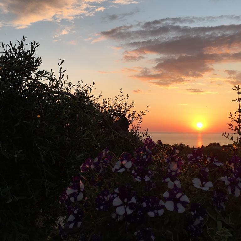 Villa Elenia Τσουκαλάδες Εξωτερικό φωτογραφία